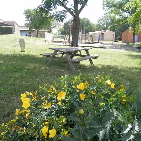 Holiday park Vvf Le Pays Cathare Carcassonne Saissac